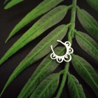 Septum -2