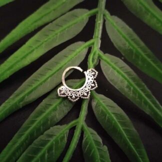 Septum -3