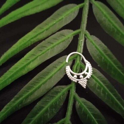 Septum -4