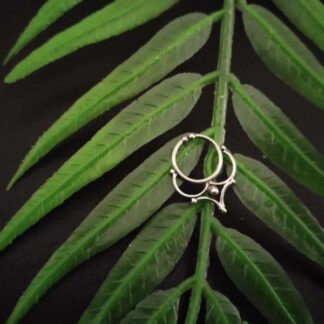 Septum -8