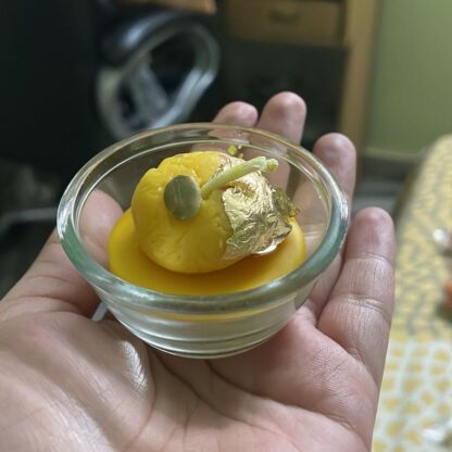Rasmalai candles - Image 3